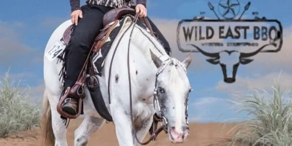 Westernreitturnier – 14. Inselcup